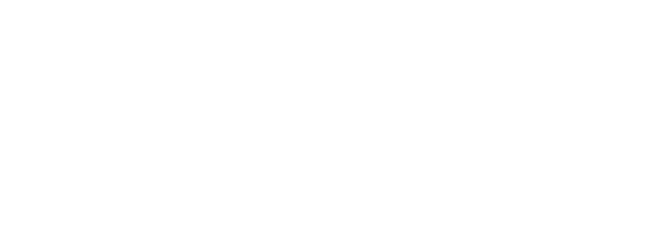 Main Logo